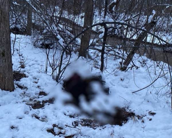 Два трупа мужчин обнаружили в «Ущелье Дарденеллы» в Приморье
