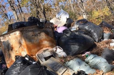 Одно из кладбищ Владивостока превратили в гору мусора