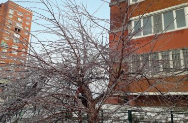Ледяной дождь прошёл в Приморье (видео)