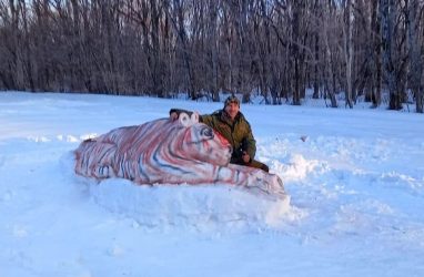 Четырёхметровый тигр из снега удивил жителей Приморья