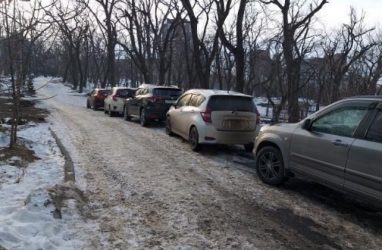 «Как вы все достали»: в Покровском парке Владивостока стали парковать машины