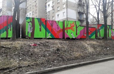 Владивосток избавят ещё от 67 гаражей (адреса)