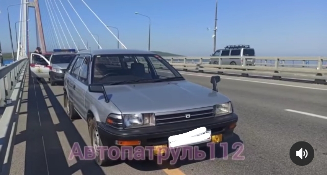 Мужчина упал с Русского моста во Владивостоке — видео