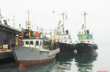 В Приморье средняя начисленная зарплата рыбаков выросла до 135,6 тысячи рублей