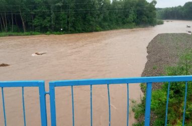 Вода в реках Приморья после дождей поднялась до 3,5 м