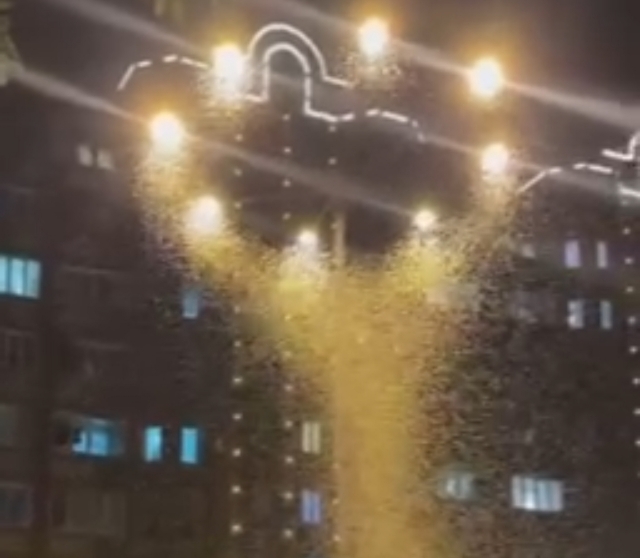 Жители в шоке: полчища крылатых существ атаковали улицы Уссурийска — видео