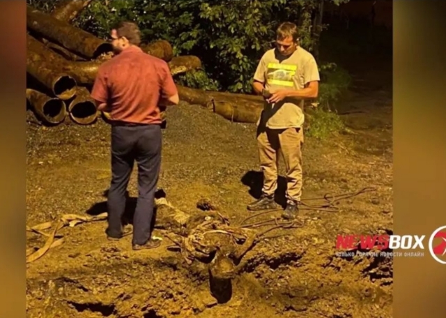 «Ужас из 90-х»: труп человека откопали рабочие во Владивостоке — видео