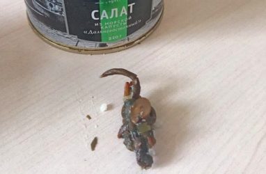 «Консервированная» мышь в банке с морским салатом шокировала жительницу Приморья