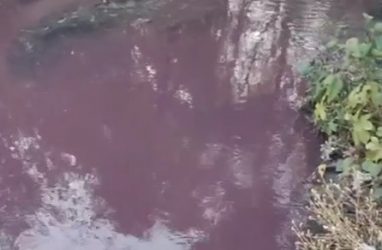 Розовая вода, стекающая в море, насторожила жителей Владивостока