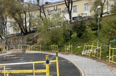 Мэру Владивостока внесли представление из-за небезопасного демонтажа детской площадки в сквере имени Суханова