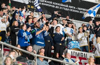 Хоккеисты «Адмирала» одержали седьмую домашнюю победу подряд, повторно обыграв «Нефтехимик»