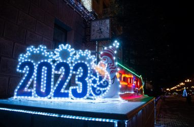 Полицейские будут досматривать желающих попасть на новогодний городок в центре Владивостока