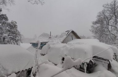 В Приморье семья с детьми чуть не погибла под снежной массой