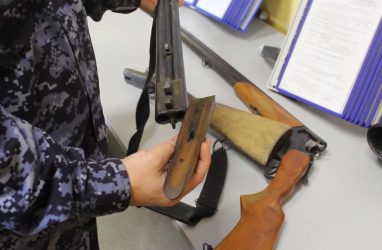 У жителей Приморья в 2022 году изъяли свыше 4000 единиц оружия