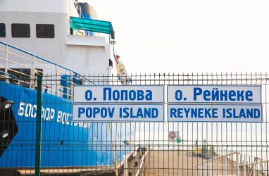 Во Владивостоке многодетным семьям выделят бесплатную землю на острове Попова