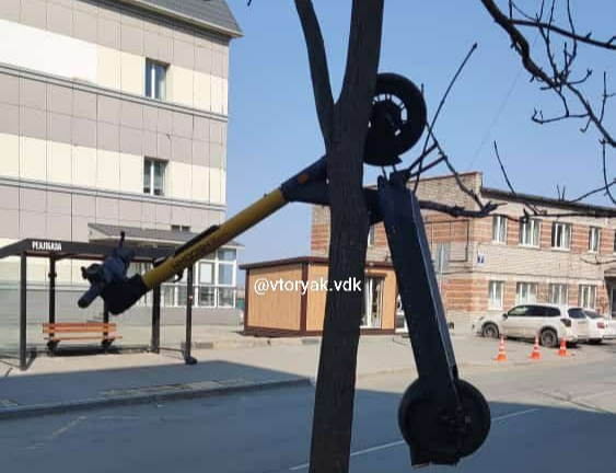«Нервы не выдержали». Во Владивостоке электросамокат повесили на дерево
