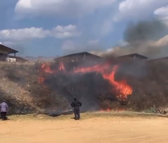 Жарка шашлыков привела к серьёзному пожару в Приморье — видео