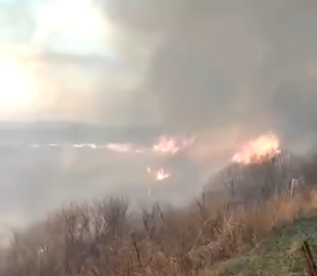 Пламя подбирается к домам. Природный пожар в Приморье записали на видео