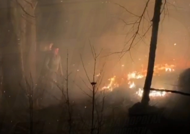 В Приморье сельчане боролись с огнём, спасая свои дома. Опубликовано видео