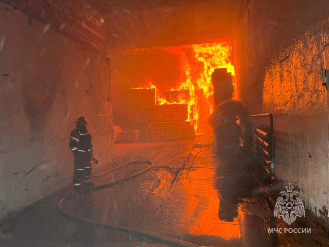 На тушение сильнейшего пожара в Приморье направили дополнительные силы (видео)