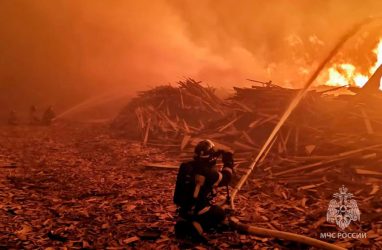 Очередной пожар на лесопроизводственном предприятии произошёл в Приморье — на площади 1500 квадратных метров