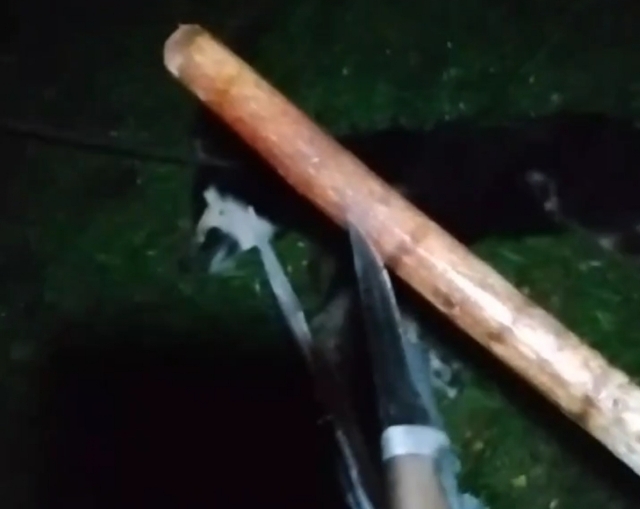 Отрезали голову собаке. Шокирующие кадры в Приморье проверяет полиция