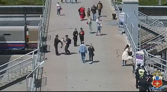 Камера записала, как полицейский во Владивостоке спас ребёнка (видео)