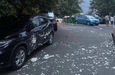 «Найти, и родителей привлечь»: во Владивостоке дети повредили машины монтажной пеной