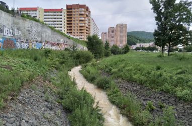 Во Владивостоке превентивно будут чистить русла четырёх рек