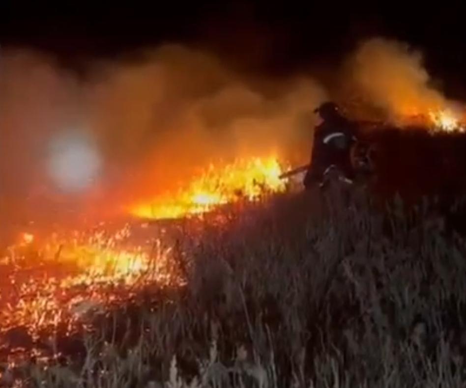 Тушить пожар на острове Рейнеке в Приморье отправили огнеборцев на двух катерах