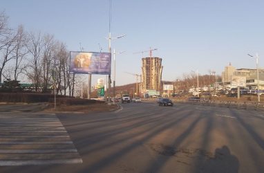 В мэрии Владивостока прокомментировали вырубку деревьев в пригороде ради жилья