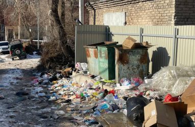 Жители Владивостока жалуются на заваленный мусором центр Молодёжной столицы РФ