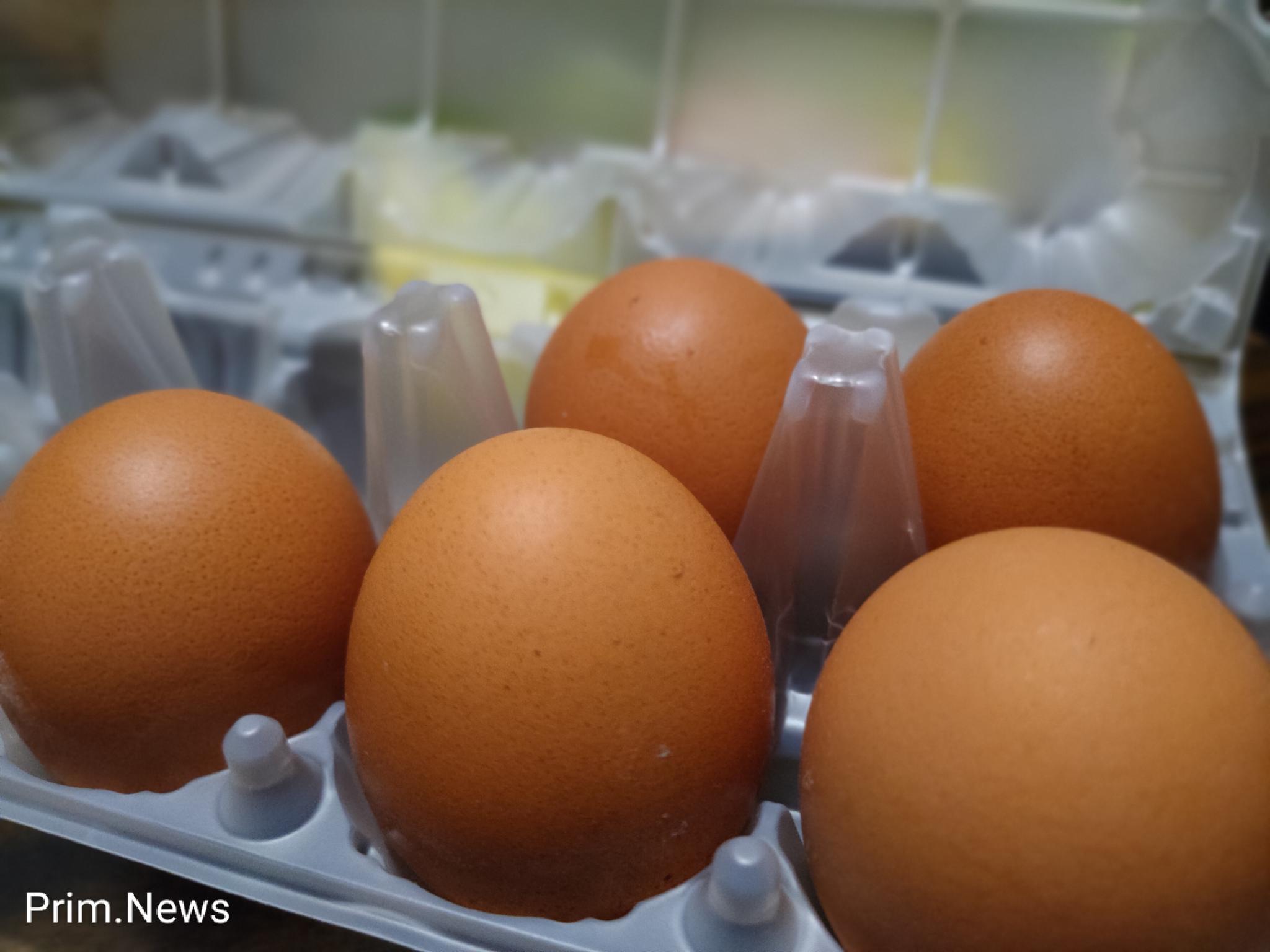 Производство яиц в Приморье с начала 2024 года выросло на 12,2%