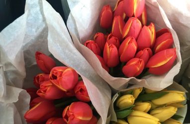 Во Владивостоке жестоко подрались торговцы тюльпанами
