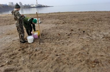 Часть пляжа в районе мыса Кунгасный во Владивостоке завалили грунтом с мусором