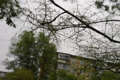 edf