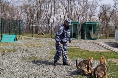 Фото - пресс-служба УМВД России по Приморскому краю
