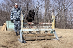 Фото - пресс-служба УМВД России по Приморскому краю