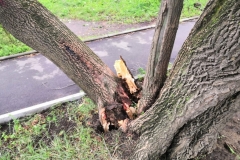<strong>Во Владивостоке 3 сентября горожане наблюдают аномально сильный ветер, в результате которого по всему городу фиксируются разрушения</strong>