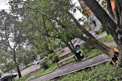 <strong>Во Владивостоке 3 сентября горожане наблюдают аномально сильный ветер, в результате которого по всему городу фиксируются разрушения</strong>