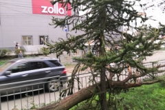 <strong>Во Владивостоке 3 сентября горожане наблюдают аномально сильный ветер, в результате которого по всему городу фиксируются разрушения</strong>