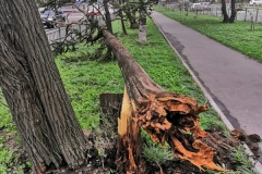 <strong>Во Владивостоке 3 сентября горожане наблюдают аномально сильный ветер, в результате которого по всему городу фиксируются разрушения</strong>