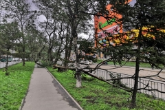 <strong>Во Владивостоке 3 сентября горожане наблюдают аномально сильный ветер, в результате которого по всему городу фиксируются разрушения</strong>