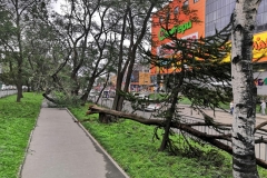 <strong>Во Владивостоке 3 сентября горожане наблюдают аномально сильный ветер, в результате которого по всему городу фиксируются разрушения</strong>