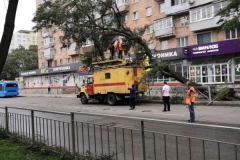 <strong>Во Владивостоке 3 сентября горожане наблюдают аномально сильный ветер, в результате которого по всему городу фиксируются разрушения</strong>