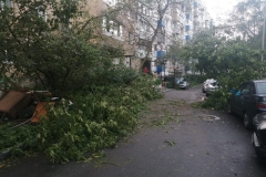 <strong>Во Владивостоке 3 сентября горожане наблюдают аномально сильный ветер, в результате которого по всему городу фиксируются разрушения</strong>