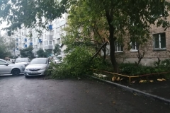 <strong>Во Владивостоке 3 сентября горожане наблюдают аномально сильный ветер, в результате которого по всему городу фиксируются разрушения</strong>