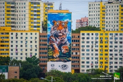 <strong>Полосатый хищник украсил фасад жилого дома во Владивостоке. Фото - Анастасия Котлярова</strong>