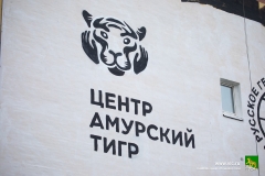 <strong>Полосатый хищник украсил фасад жилого дома во Владивостоке. Фото - Анастасия Котлярова</strong>