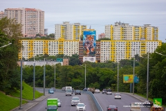 <strong>Полосатый хищник украсил фасад жилого дома во Владивостоке. Фото - Анастасия Котлярова</strong>
